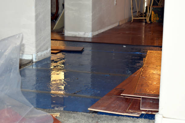 Professional Basement Flood Cleanup technician working in Saratoga Springs, UT